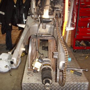 Baja 2011