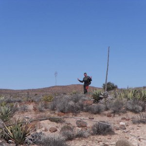 Baja 2011