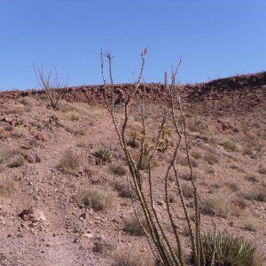Baja 2011