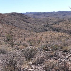 Baja 2011