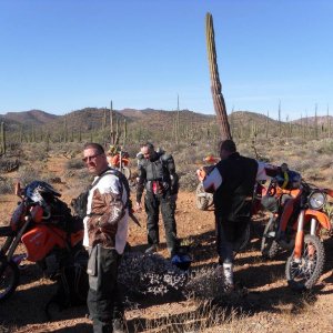 Baja 2011