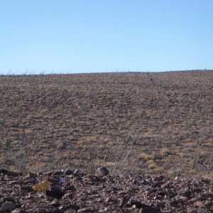 Baja 2011