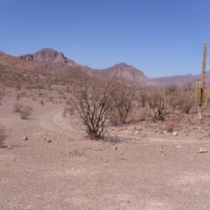 Baja 2011