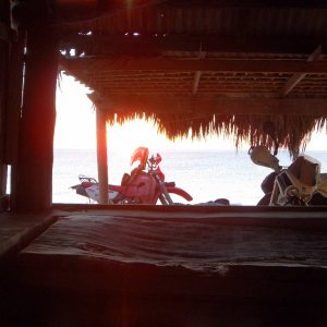 Baja 2011