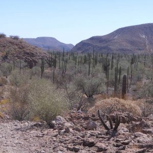 Baja 2011