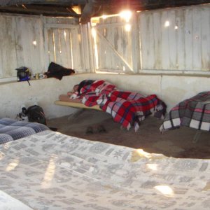 Baja 2011