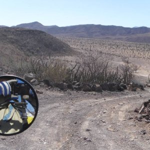 Baja 2011