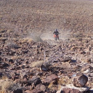 Baja 2011
