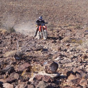 Baja 2011