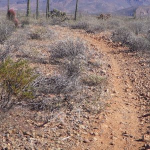 Baja 2011