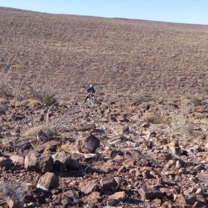 Baja 2011