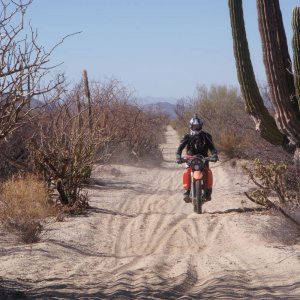 Brandon on Green door trail
