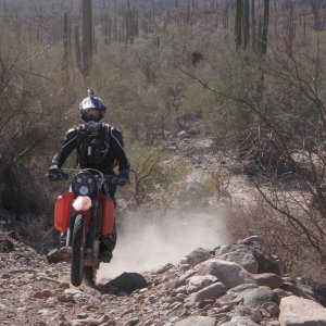 Brandon on green door trail