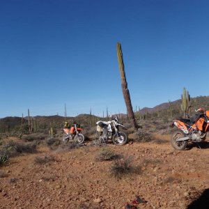 P2060158