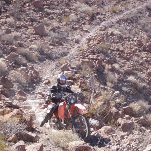 Brandon on Rockman