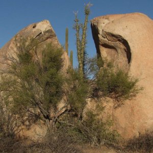 2splt_in_the_rock