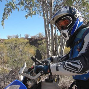 6half_way_no_wimps_trail