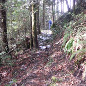 Chipmunk 2011 Trail Work