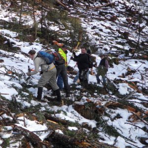 Chipmunk 2011 Trail Work