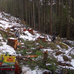 Chipmunk 2011 Trail Work