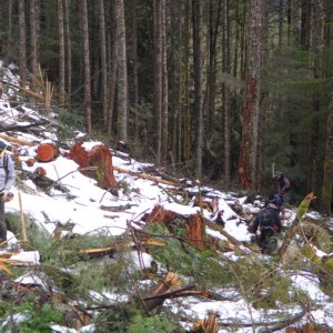 Chipmunk 2011 Trail Work