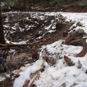 Chipmunk 2011 Trail Work
