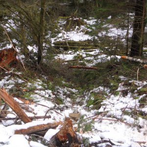 Chipmunk 2011 Trail Work