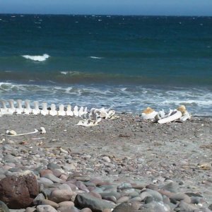 Baja_2011_047