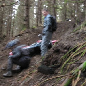 hamond's valiant effort