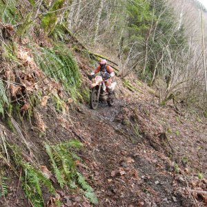 dashboard trail
