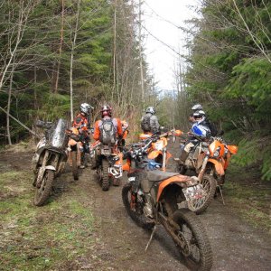 7 KTM's - 1 SUSUKI