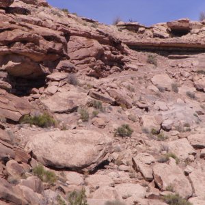 Moab
