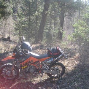 gold_claims_trip_034