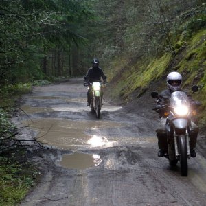 2011 Orca C pre ride