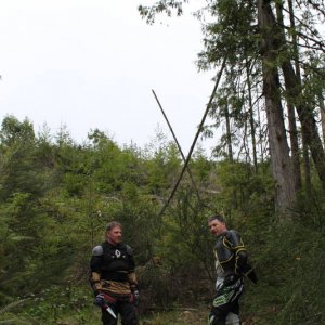 Broom clearers extrordinaire!