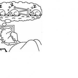 Sleeping Sheep