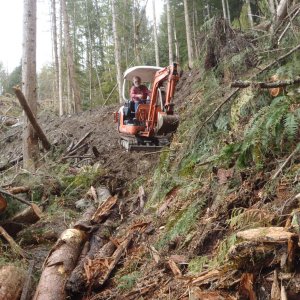 Chipmunk 2011 Trail Work