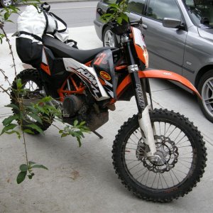Coyote on right KTM 690