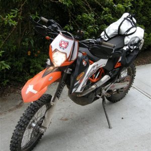 Coyote on left KTM 690