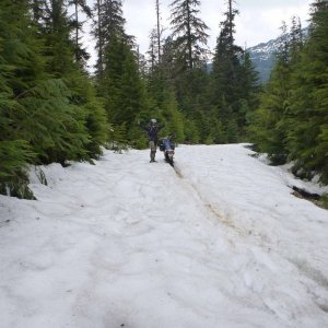Bob_in_Snow