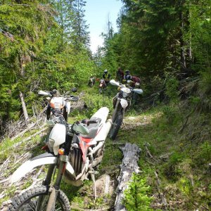 Gnarly_Trail