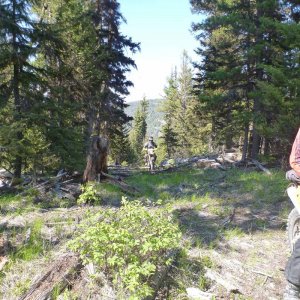 On_The_B_Trail