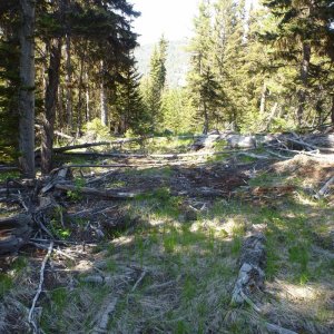 More_Trail