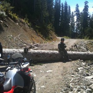 Elaho Valley