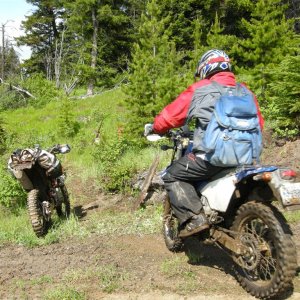 B Route Single Track2