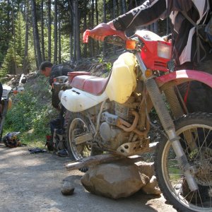 Flat Tire1