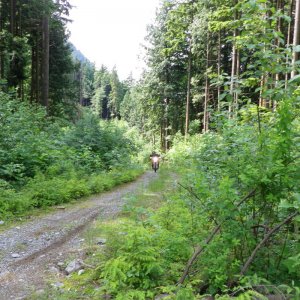 Breaky_jul10-11_005
