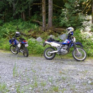 Breaky_jul10-11_003