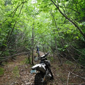 DSCF0058