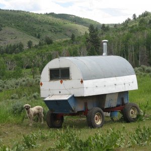 Colorado_Sheep_Herder_s_Camp_Julu_201011